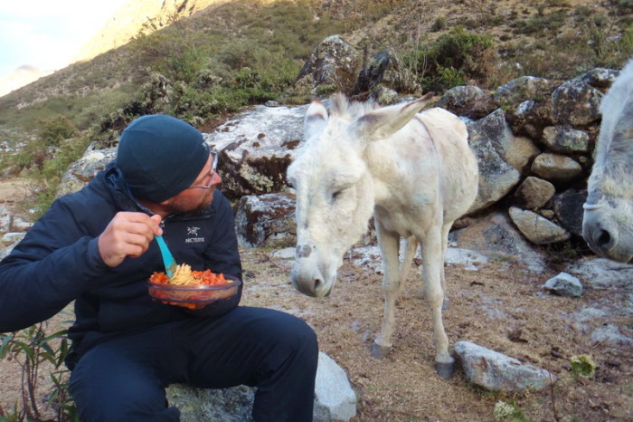 Santa Cruz Trek - We had some unexpected guests for dinner on Day 3!