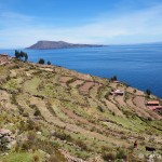 Terraces, Taquile Island, Lake Titicaca
