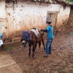 Day 1: Michel, our Arriero (mule handler), loading Maria the mule