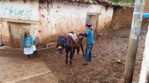 Day 1: Michel, our Arriero (mule handler), loading Maria the mule