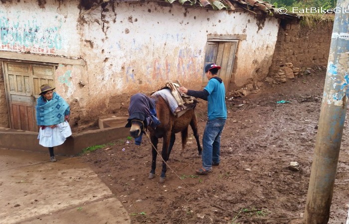 Peru - Day 1: Michel, our Arriero (mule handler), loading Maria the mule 
