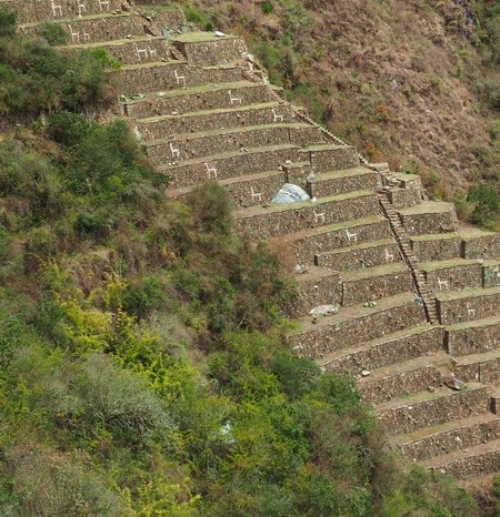 Peru - Day 2: The incredible llama terraces