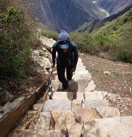 Peru - Day 2: Jo making the brutally steep ascent from the llama terraces