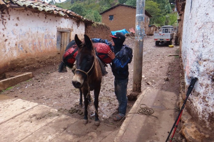 Peru - Day 4: Michel, the handler, unloading Maria