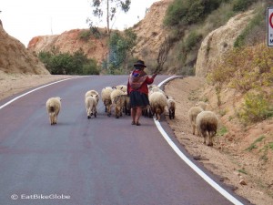 Shepherdess on the road to Ocros