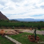 View from our first winery - Bodega Domingo Molina, Cafayate