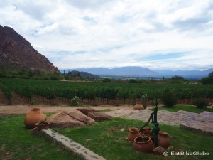 View from our first winery - Bodega Domingo Molina, Cafayate