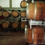 Wine barrels at Bodega Domingo Molina, Cafayate