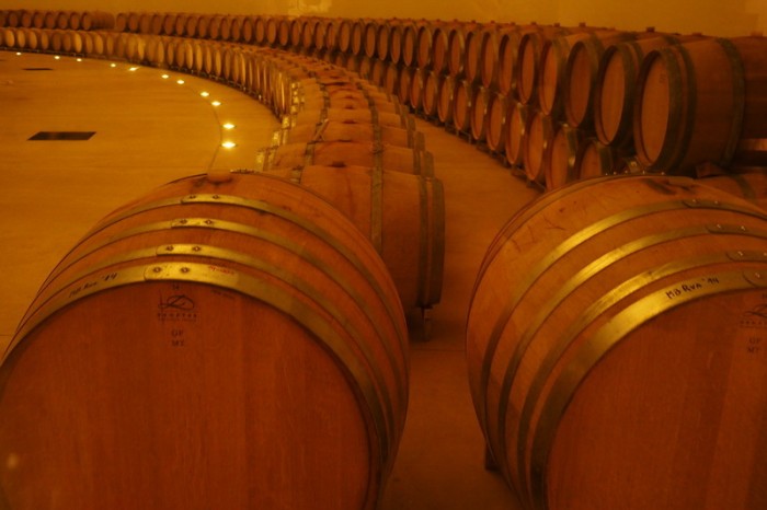 Argentina - Piattelli Winery, Cafayate 