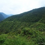 Beautiful jungle views along the Death Road