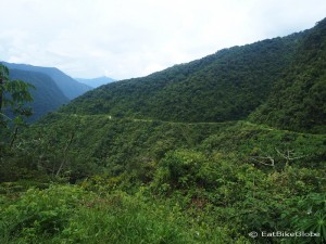 Beautiful jungle views along the Death Road