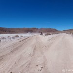 Day 2 of the Laguna Route: Sandy tracks on our way to Laguna Canapa