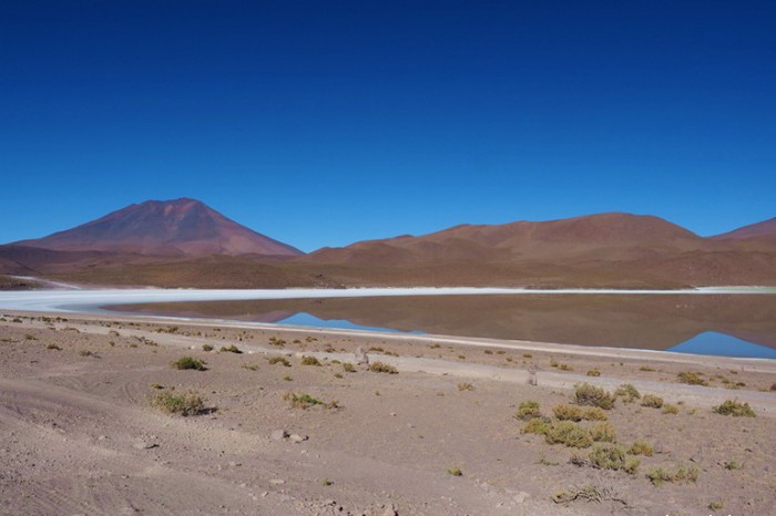 Bolivia - Day 3 of the Laguna Route: Laguna Hedionda