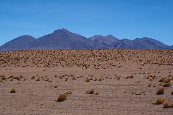 Bolivia - Day 3 of the Laguna Route: Nice desert views