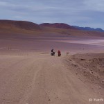 Day 7 of the Laguna Route: Vicunas on the way to Lagunas Verde and Blanca
