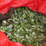 Bag of coca leaves, Miners' Market, Potosi