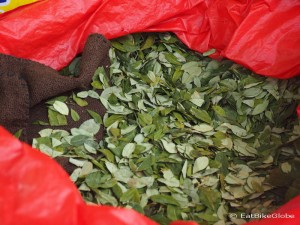 Bag of coca leaves, Miners' Market, Potosi