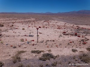 Day 8 of the Laguna Route: On the descent into San Pedro de Atacama we passed mine fields ... bit scary!